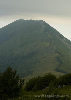 Соколов камен - један од врхова Суве планине